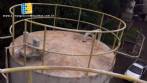 Tanque silo encamisado para armazenamento de glucose 20.000 litros