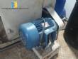 Extrusora para macarro Braiband 250 kg / h