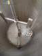 Tanque triturador homogeneizador em a�o inox