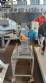 Processador triturador em inox AGMAC 100 kg / h