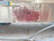 Envasadora em inox de bancada para lquidos e viscosos