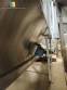 Silo de armazenamento ensacadeira em inox com rosca transportadora sada 3000 litros