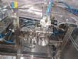 Envasadora tampadora para cerveja artesanal vidro pet Brabeer