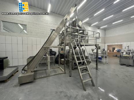 Embaladora envasadora multi cabeça multicabeçote corrugada para produtos sólidos congelados em potes Embaladora envasadora multi cabeça multicabeçote corrugada para produtos sólidos congelados em potes